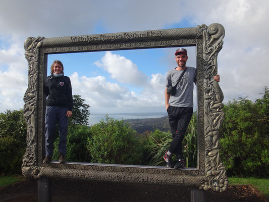 Direkter Blick auf den Waitakere NP