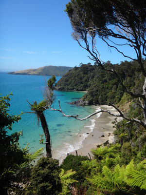 Abel Tasman oder doch Stewart Island? ;)