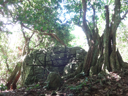 Spannend gefurchte Felsen ringsumher