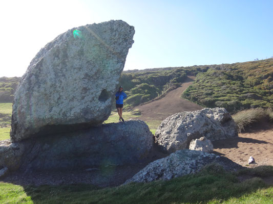 Coastal Walk Loop in Riverton