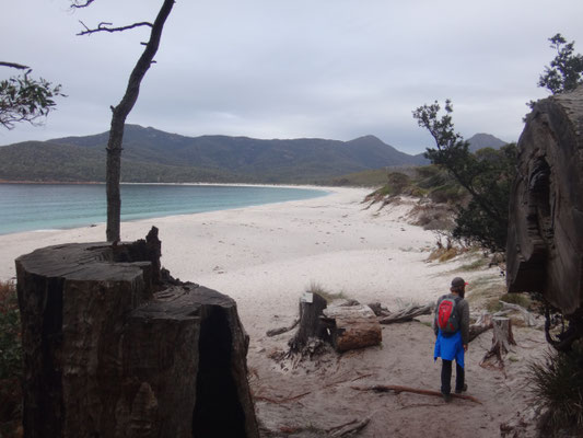 Vom Wald an den Strand... vom Schatten ins Licht