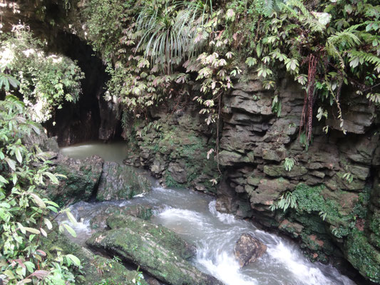 Der Waitomo-Strom sucht sich seinen Weg durch die Kalksteinwände