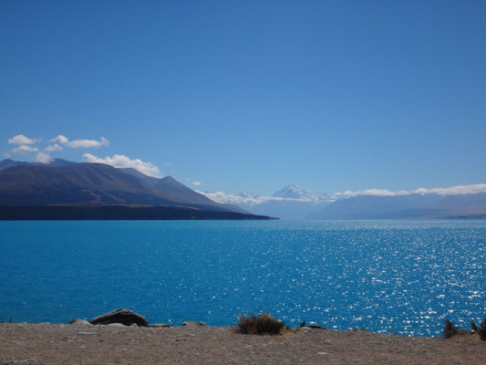 Im Hintergrund erhebt sich majestätisch Mount Cook