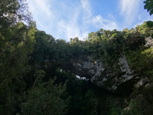 Überwältigend hoch: Opara Arch