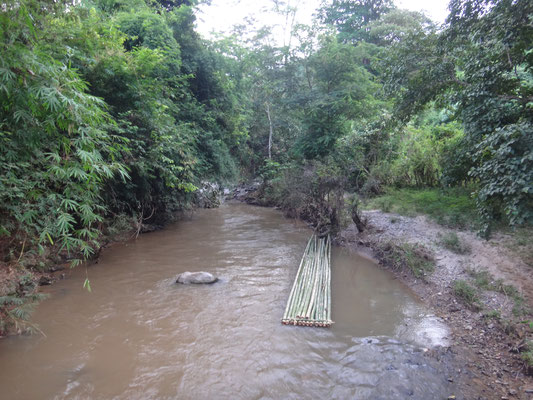 Blick von der Brücke auf ein Bambusfloß