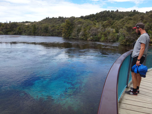 Blick in die Te Waikoropupu Springs