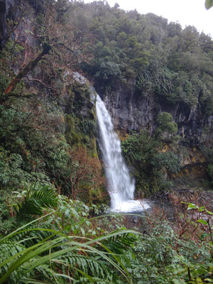 Etwas von der Ferne... Dawson Falls...