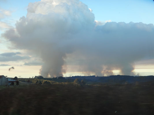 Mehrer Buschfeuer in der Ferne