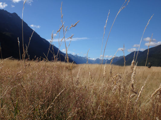 Eine Hochebene auf dem Weg nach Milford Sound zum Beine vertreten