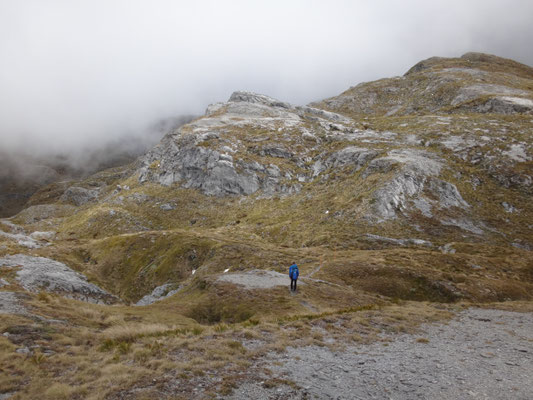 Kastlandschaft am Fuße von Mount Arthur