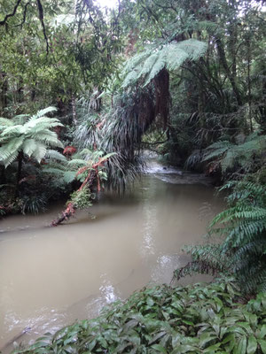 Am Fluss entlang zum Wasserfall