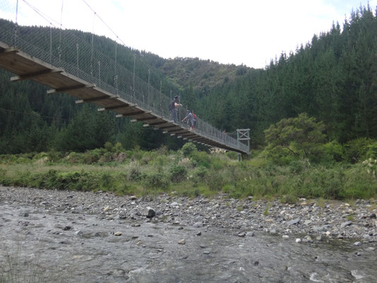 ... und wiedermal eine Swing-Bridge... die scheinen das hier zu mögen, oder es ist einfach nur erdbebensicherer ;)
