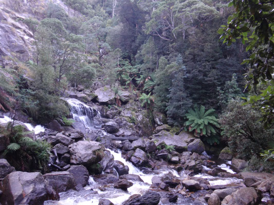 Am Fuße der St. Columba Falls