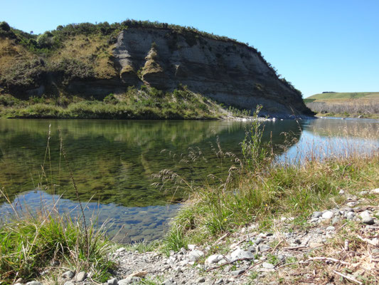 Campsite am Waiau River (mit Riesen-Aalen... hab ich mich beim Abwaschen erschreckt!!!)