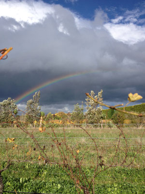 Ein erster Regenbogen zeigte sich