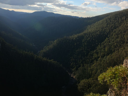 Leven Canyon