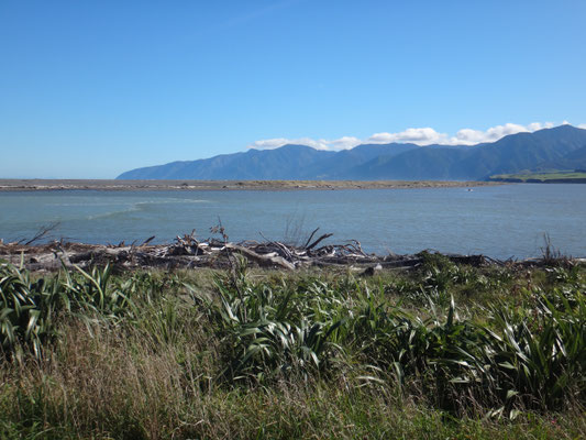 Lake Ferry, direkt hinter den Bergen liegt Wellington