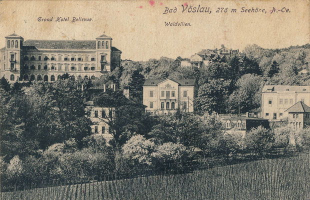Villa Adler, Stadtmuseum Bad Vöslau
