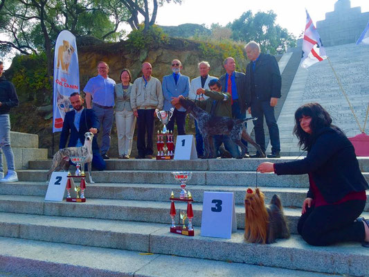 B.I.S Ajaccio 2016