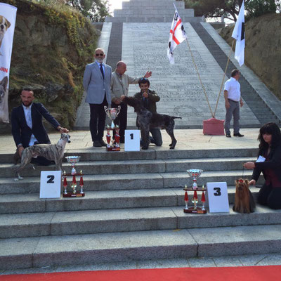 B.I.S Ajaccio 2016