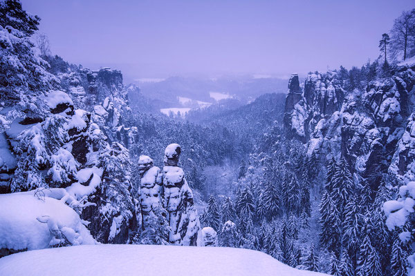 Ein neblig-mystischer Wintertag im Basteigebiet.