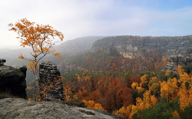 Herbst im Prebischkegel.