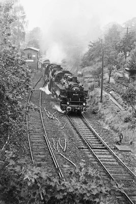 86 245 & 50 1849 mit Sonderzug in Richtung Neustadt. 