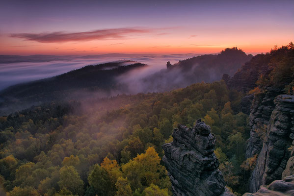 Herbstmorgen mit fantastischer Nebellage am Gohrisch.