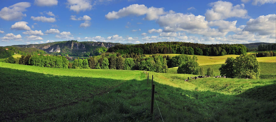 Blick über eine Weide hinüber zur Bastei