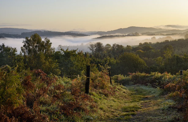 Sonnenaufgang am Adamsberg, unter dem Nebel liegt das Sebnitztal. 