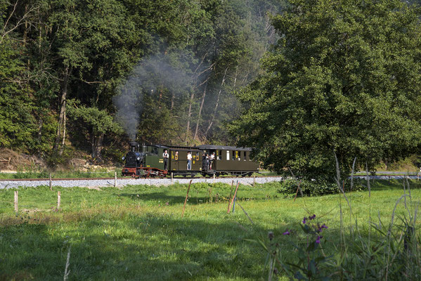 Und nochmal im Abendlicht auf dem neuen Streckenabschnitt, 31.08.2019