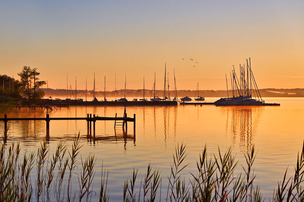 Sonnenaufgang bei Gollenshausen am Chiemsee.