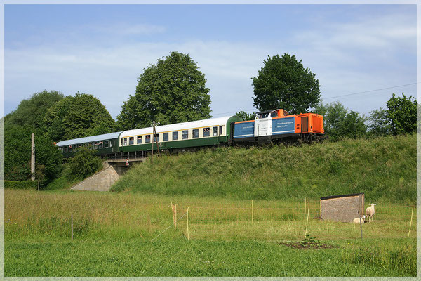 Ebenfalls in Lohmen: Der Zug in ländlicher Idylle - von hier bis Pirna/Copitz stehen noch die Telegrafenmasten. 02.06.11. Foto: Hannes Ortlieb