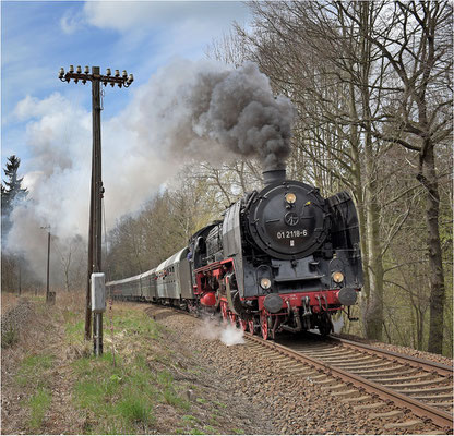 Mit 01 118 von Dresden nach Zittau. Das Dresdner Dampfloktreffen sorgte dafür, dass diese wunderschöne Maschine zurück in ihre alte Heimat kehrte. Hier in der Steigung bei Neukirch / Lausitz (West). 17.04.15