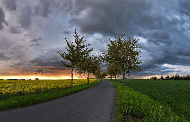 Wolkenspektakel überm Rapsfeld bei Heeselicht.