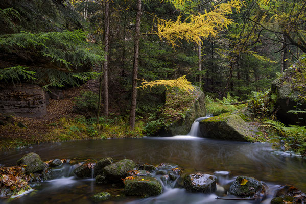 Kleine Wasserkaskaden in der Dürren Biela.