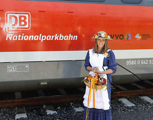 Die Triebwagen tragen nun in deutscher und tschechischer Sprache den Namen "Nationalparkbahn/Dráha národniho parku", hier mit dem Sebnitzer Blumenmädchen.