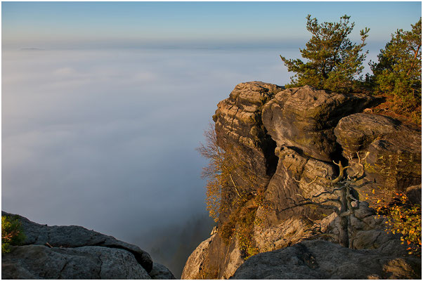 Auf dem Lilienstein... 