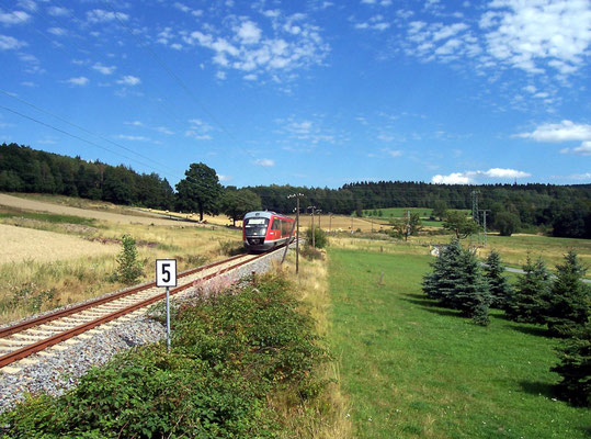 Regionalbahn nach Bad Schandau bei Krumhermsdorf, Sommer 2006