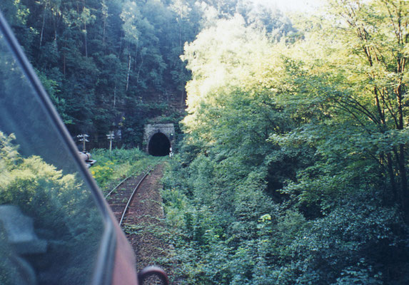 Mitfahrt auf einer BR 202 ( ex DR V 100 ), Lokführerperspektive im Sebnitztal, 1995