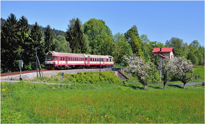 854 204-5 Decin-Rumburk-Dolni Poustévna verlässt die kleine Bahnstation in Lipová u Šluknova. 19.05.2013