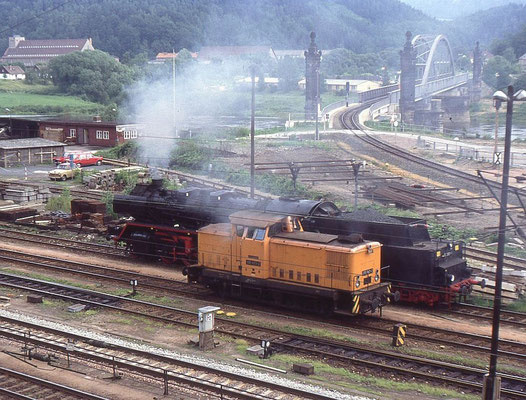 50 3661 und 106 883 in der Einsatzstelle Bad Schandau. Im Hintergrund zweigt die Strecke nach Sebnitz über eine imposante Bogenbrücke aus dem Elbtal ab.Foto: Andreas Matschke