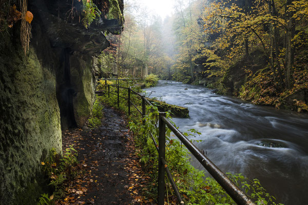 Unterwegs im Liebethaler Grund.