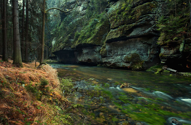 Winter im Kamnitztal, leider ohne Schnee.