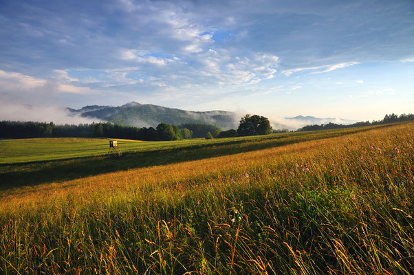 Blick zur Hohen Liebe vom Schaarwändeweg bei Mittelndorf.