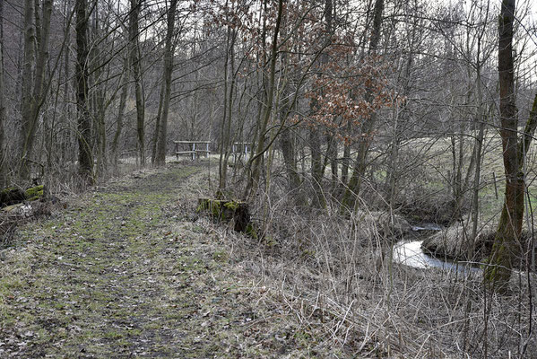 Danach folgt dieser Bogen. Blickrichtung Lohsdorf, 04.03.19