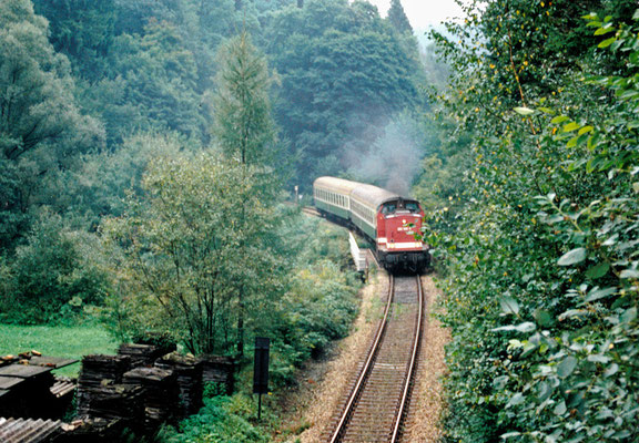 Eine 202 kommt hier aus dem Tunnel 4 und wird in wenigen Augenblicken Ulbersdorf erreichen. Am Haken hat sie eine Garnitur wie sie in den 90érn oft gesehen werden konnte. August 1996, Fotoscan