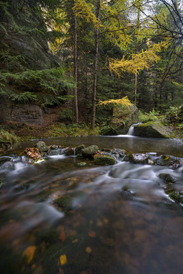 Kleine Wasserkaskaden in der Dürren Biela. 