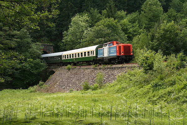 Und wieder die wohl beliebteste Fotostelle im Sebnitztal: Der Zug kommt auf seinem Weg nach Neustadt aus Tunnel 5 bei Ulbersdorf. 04.06.11. Foto: André Beck