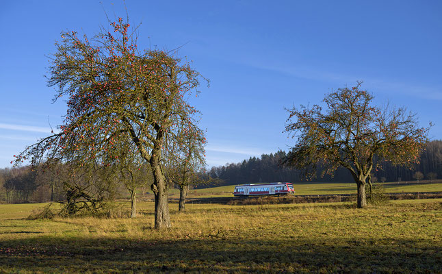 Auf der Rückfahrt nach Neustadt suchte ich mir diese zwei Bäume mit reifen Äpfeln zur Einrahmung. Krumhermsdorf, Ende November 2016.